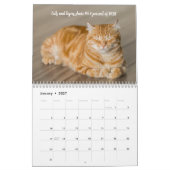 Fun Facts Kitten Cat Calendrier (Jan 2027)