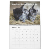Fun Facts Kitten Cat Calendrier (Feb 2026)