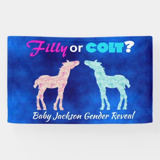 Fun "Filly or Colt" Spandoek (Horizontaal)
