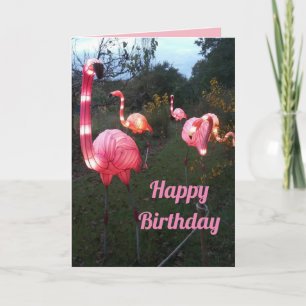 Fun Flamingo Birthday-kaart Kaart