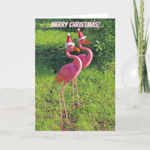 Fun Flamingo Kerstmis Wenskaart! Feestdagen Kaart
