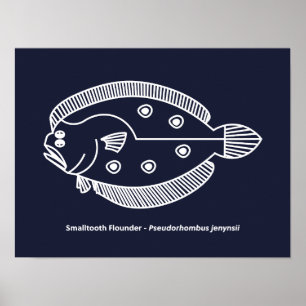 Fun Flounder Fish in White op Deepest Blue Poster