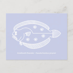 Fun Flounder Vis in Wit op Licht Paarse Briefkaart