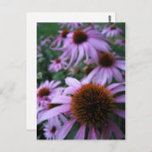 Fun Flowers Briefkaart (Voorkant / Achterkant)