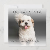 Fun Fun Fur La La La | Carte de Noël photo (Devant)