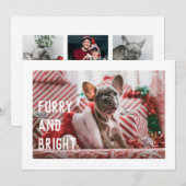 Fun Furry en Bright Modern Pet Pun Holiday Kaart (Voorkant / Achterkant)