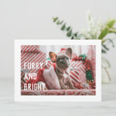 Fun Furry et brillant moderne Pet Pun Carte de vac (Debout devant)