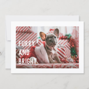 Fun Furry et brillant moderne Pet Pun Carte de vac