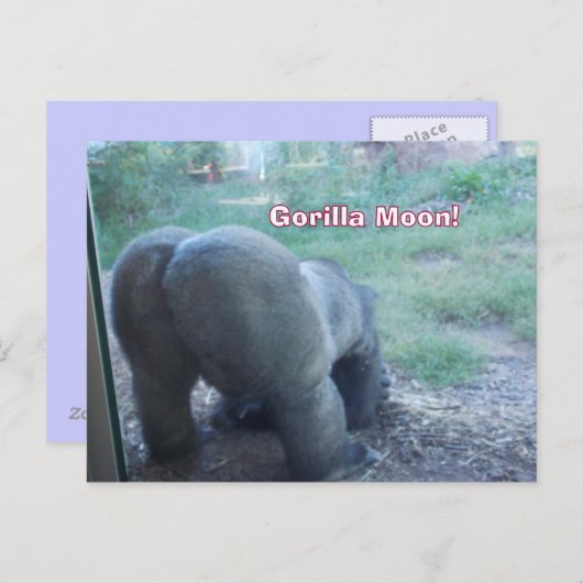 Fun Gorilla Moon Briefkaart (Voorkant / Achterkant)