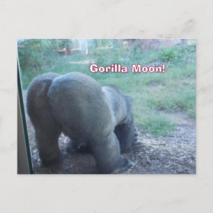 Fun Gorilla Moon Briefkaart