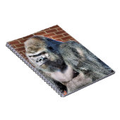 FUN GORILLA NOTITIEBOEK (Rechterzijde)