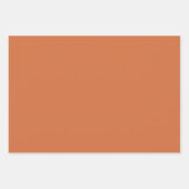 Fun Herfst Pumpkins Coordinated Inpakpapier Vel (Voorkant 2)