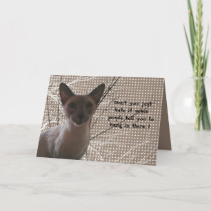 Fun Hiding Card Kaart