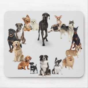 Fun Hondenras Pet Animals Dog Aangepaste naam Muismat