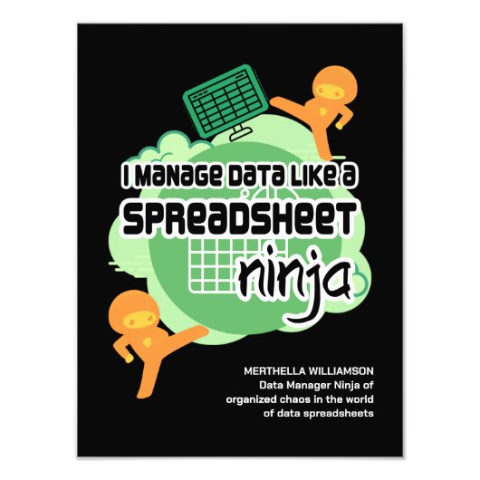 Fun I Manage Data SPREADSHEET NINJA Foto Afdruk (Voorkant)