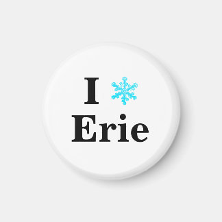 Fun I Snowflake Erie Magneet