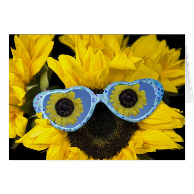 Fun in de zon (Voorkant Horizontaal)