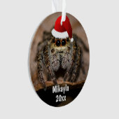 Fun Jumping Spider à Santa Hat Noël (devant)
