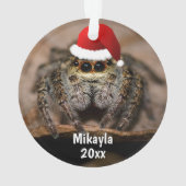Fun Jumping Spider à Santa Hat Noël (dos)