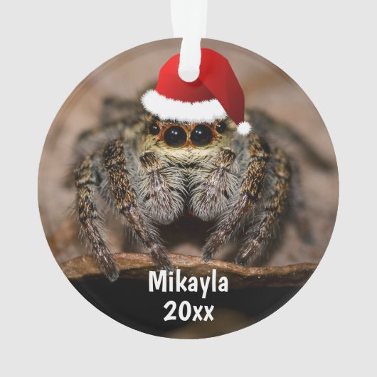 Fun Jumping Spider à Santa Hat Noël (dos)