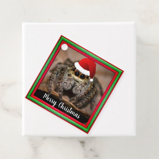 Fun Jumping Spider in Santa Hat Kerstmis Bedankjes Labels (In situ)