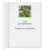 Fun Kangaroo G'day Mate Australian Animal Get Well (Intérieur (Droit))