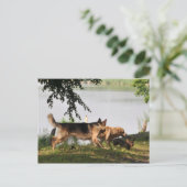 Fun, leuk, leuk! briefkaart (Staand voorkant)