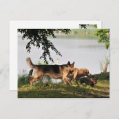 Fun, leuk, leuk! briefkaart (Voorkant / Achterkant)