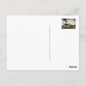 Fun, leuk, leuk! briefkaart (Achterkant)