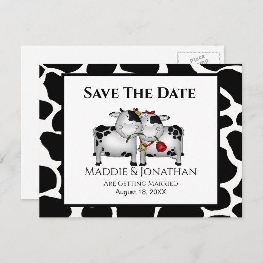 Fun Mariage vaches Enregistrer la date carte posta (Devant / Derrière)