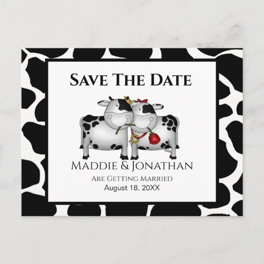 Fun Mariage vaches Enregistrer la date carte posta (Devant)