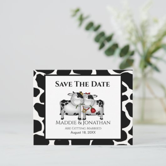 Fun Mariage vaches Enregistrer la date carte posta (Debout devant)