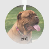 Fun Modern Best Dog Mom Photo (dos)