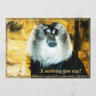 Fun Monkey Photo Zoo Wedding Invitations Kaart