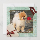 Fun Noël Poméranien J'ai été une bonne carte plat (Devant)