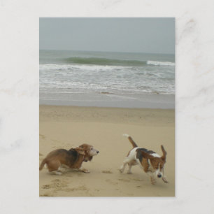 Fun op het strand briefkaart