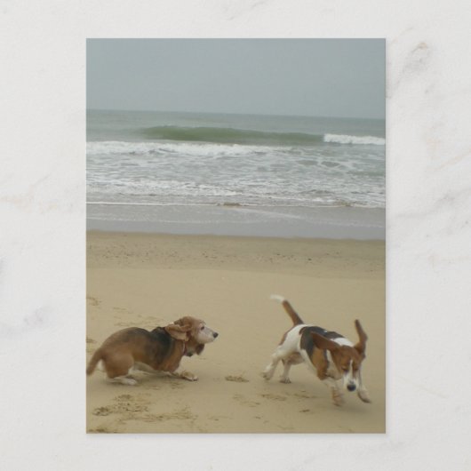 Fun op het strand briefkaart (Voorkant)