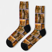 Fun Personalized Photo Sokken (Links)