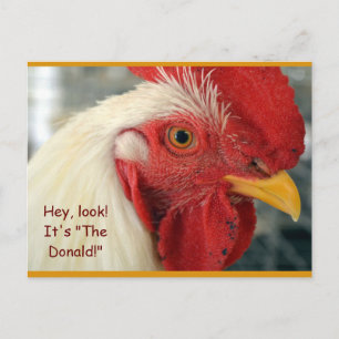 Fun Rooster Briefkaart "Hey, kijk! Het is de Donal