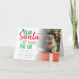 Fun Santa It was Cat Photo Holiday Card Kaart