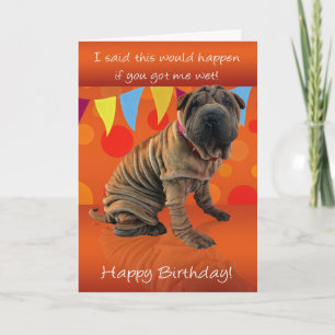 Fun Shar Pei Verjaardag Kaart met Verjaardag Humor