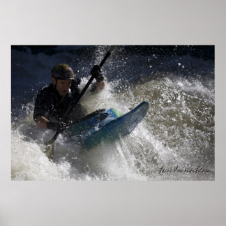 Fun-spatbord (afdrukken) poster