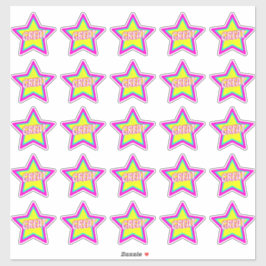 Fun Star Teacher Reward Commentaar Stickers