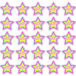 Fun Star Teacher Reward Commentaar Stickers