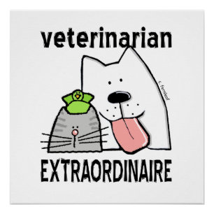 Fun Veterinarian Extraordinaire Perfect Poster