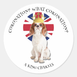 Fun WAT CORONATION King Charles Spaniel Ronde Sticker