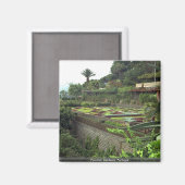 Funchal, Madeira, Portugal Magneet (Voorkant / Achterkant)