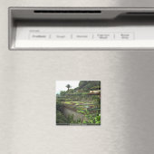 Funchal, Madeira, Portugal Magneet (Insitu (Vaatwasser))