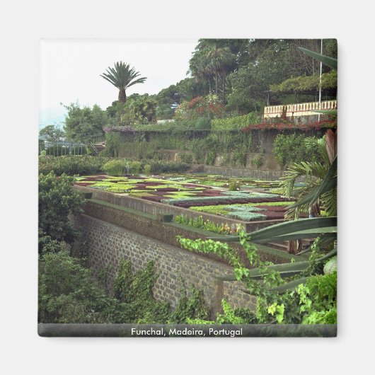 Funchal, Madeira, Portugal Magneet (Voorkant)