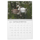 Fungerend en kalf wilde dieren voor kinderen #3 kalender (Mar 2026)